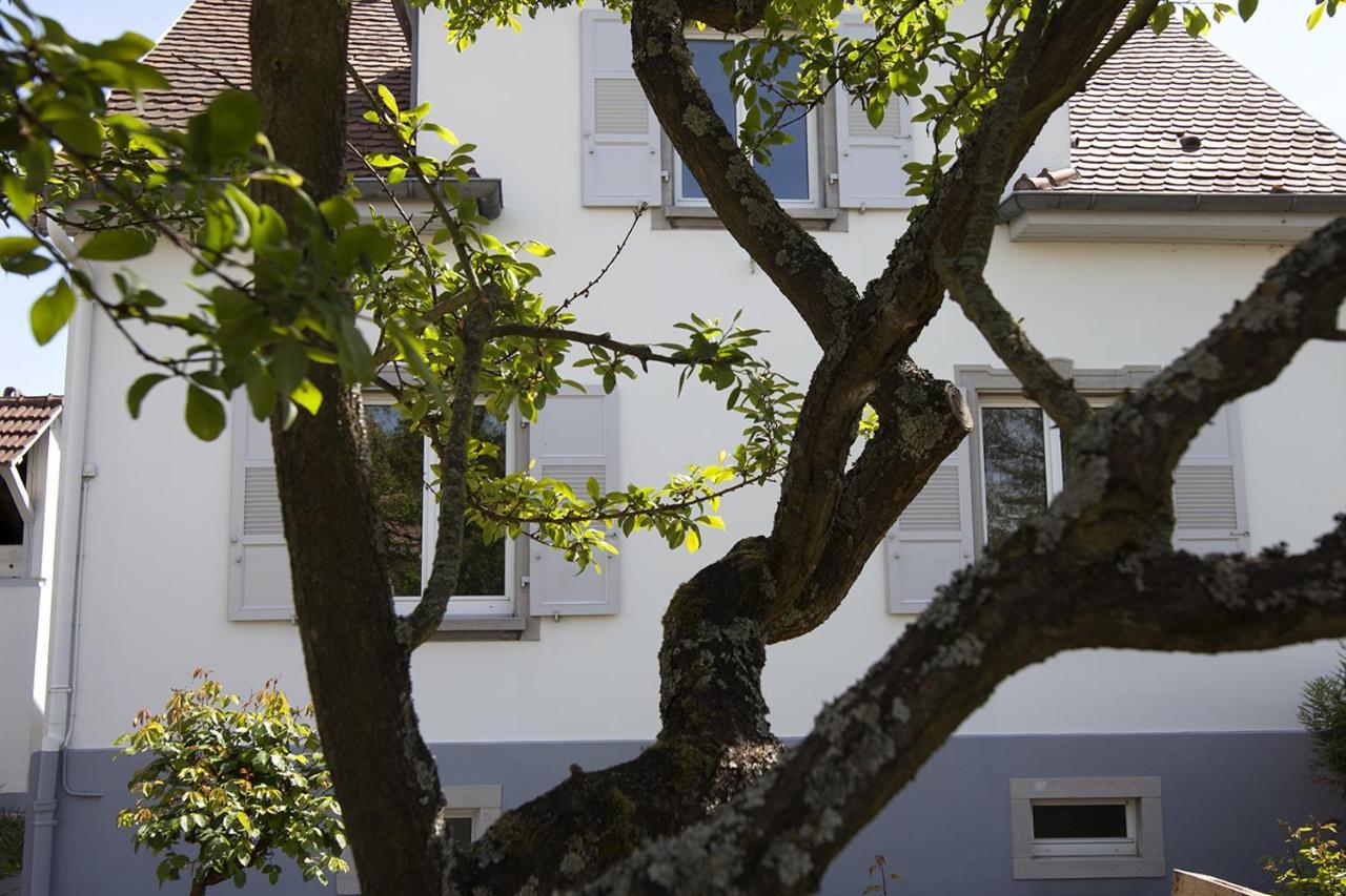 Ravissant 3P 90M2 Au Calme, Proche Du Parlement Europeen Straatsburg Buitenkant foto